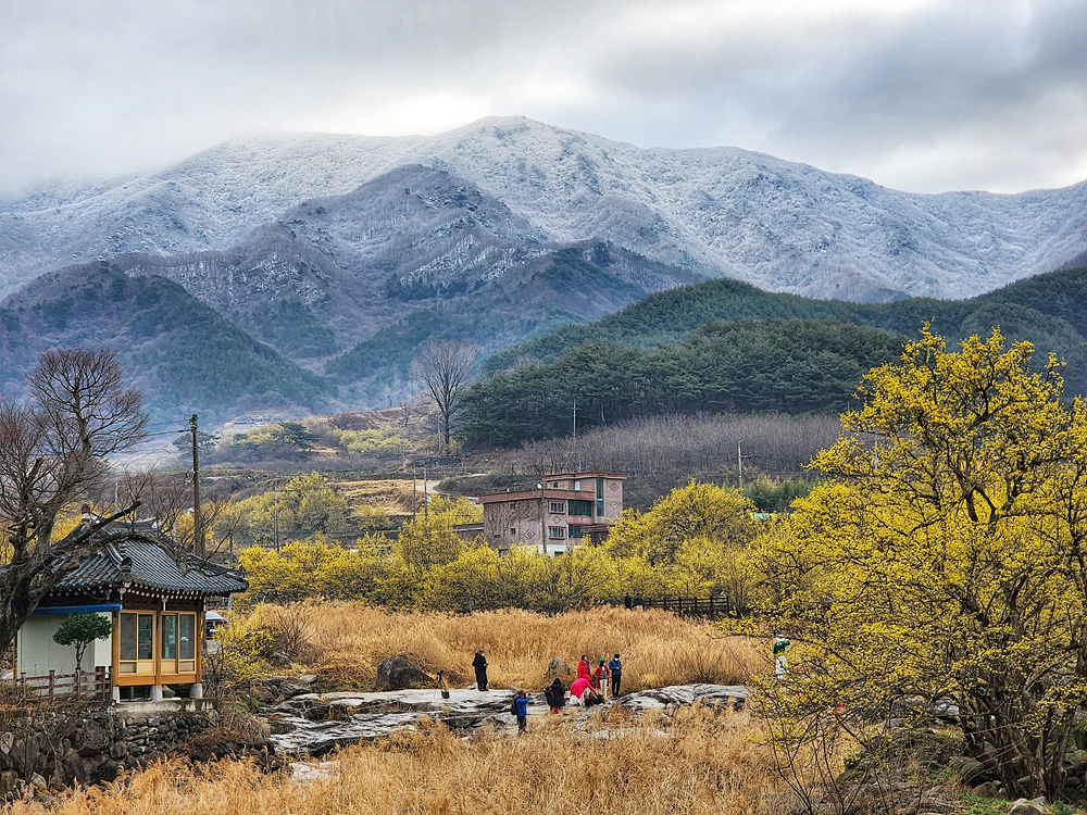 사진=구례군청