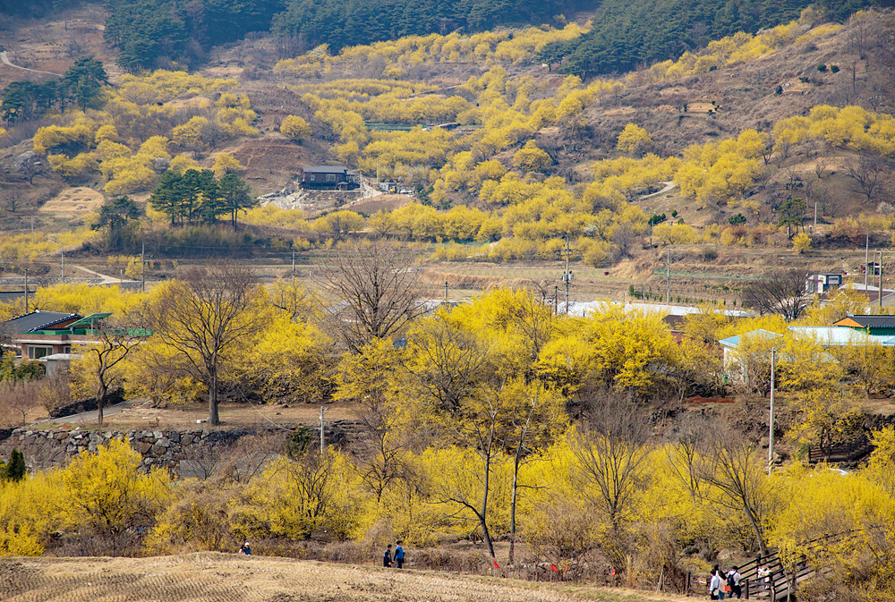 사진=구례군청