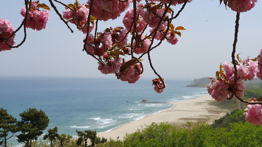 전망대 주변 해변풍경