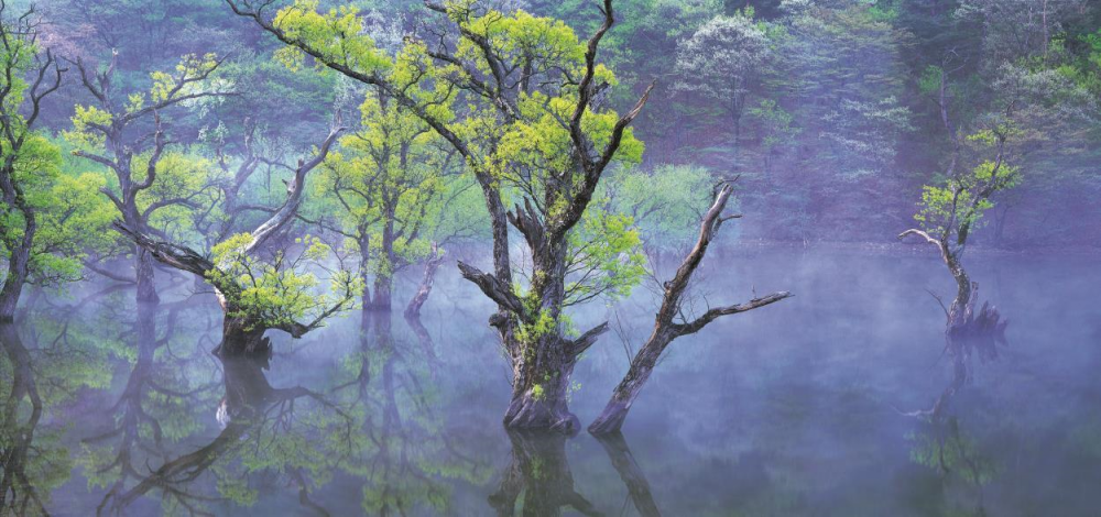 주왕산 주산지