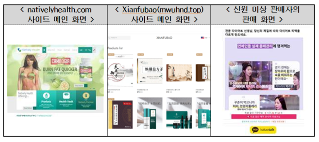 피해 사례가 급증하고 있는 해외직구 사이트들 예시(자료=한국소비자원)