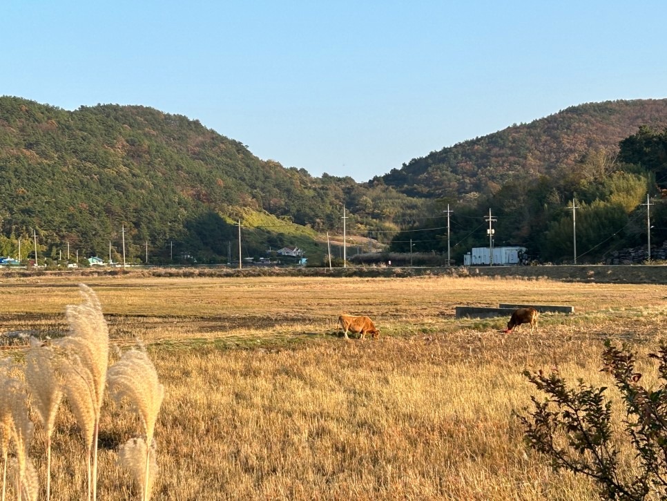 화산마을