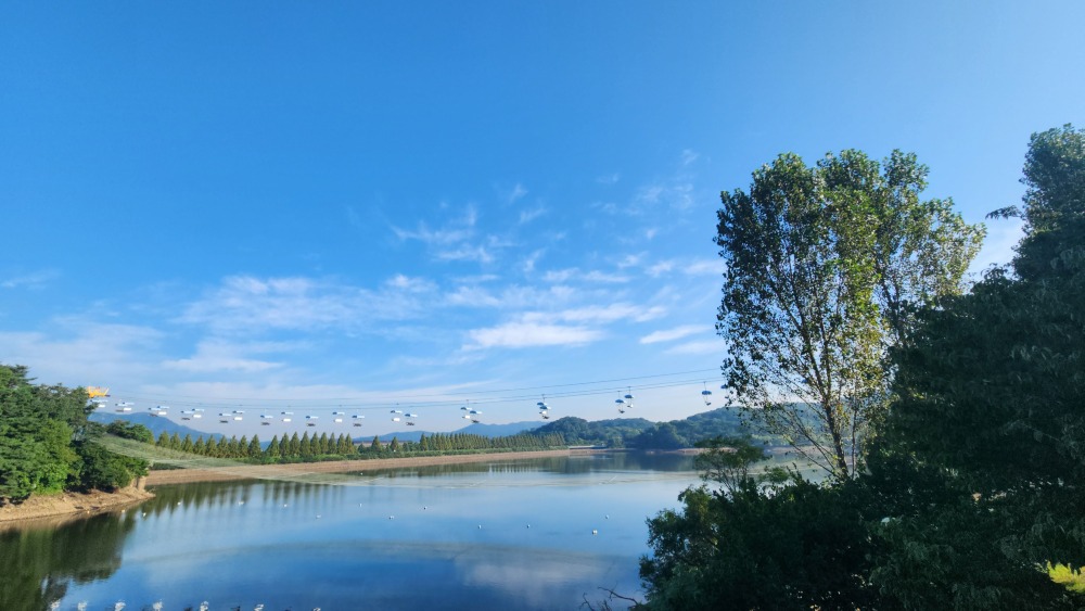 서울대공원 산림욕장길