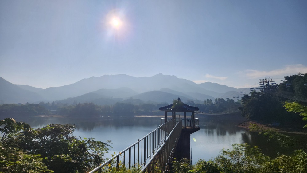 서울대공원 산림욕장길