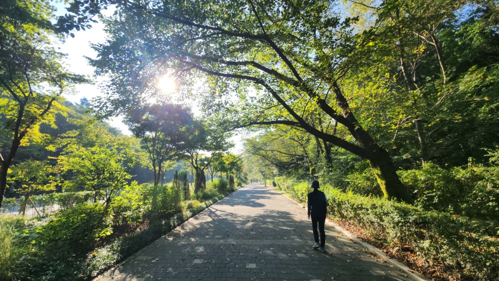 서울대공원 산림욕장길