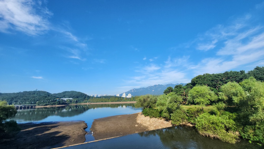 서울대공원 산림욕장길