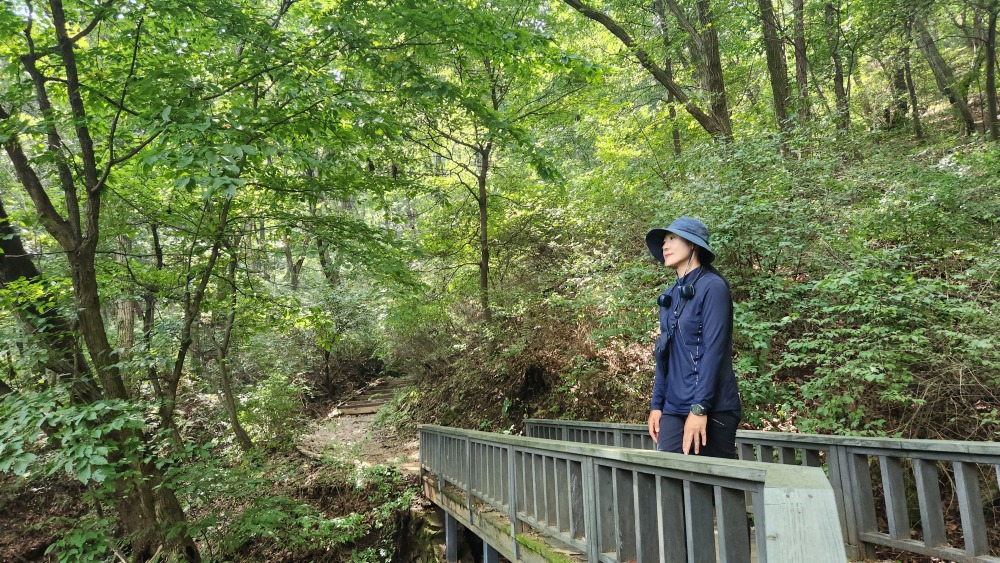 서울대공원 산림욕장길