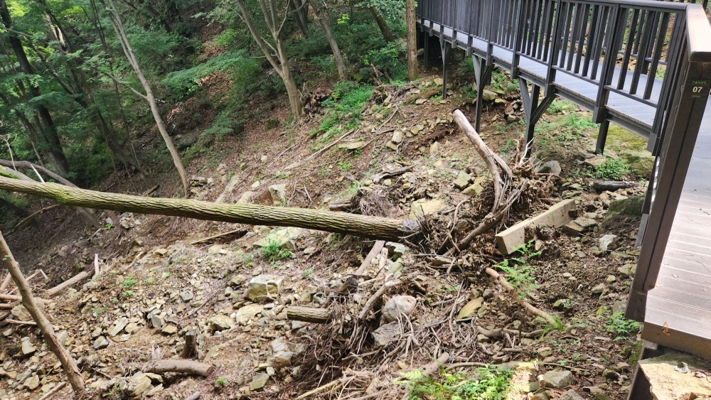 서울대공원 산림욕장길