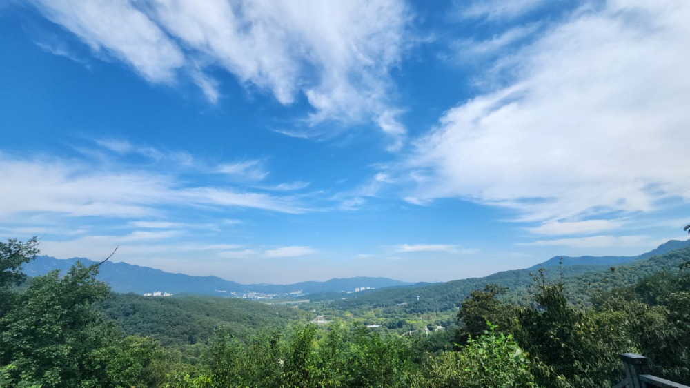 서울대공원 산림욕장길