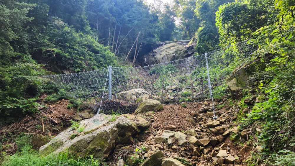 서울대공원 산림욕장길