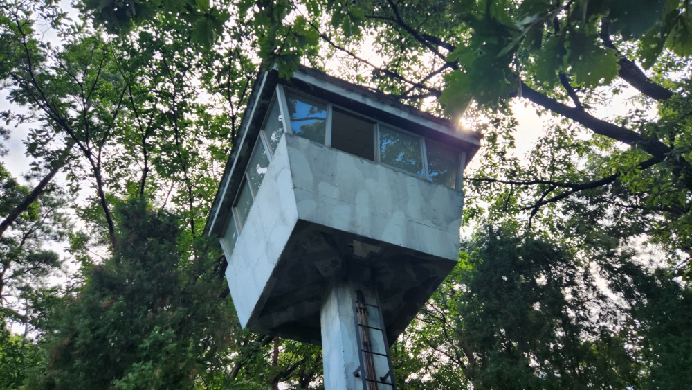 서울대공원 산림욕장길