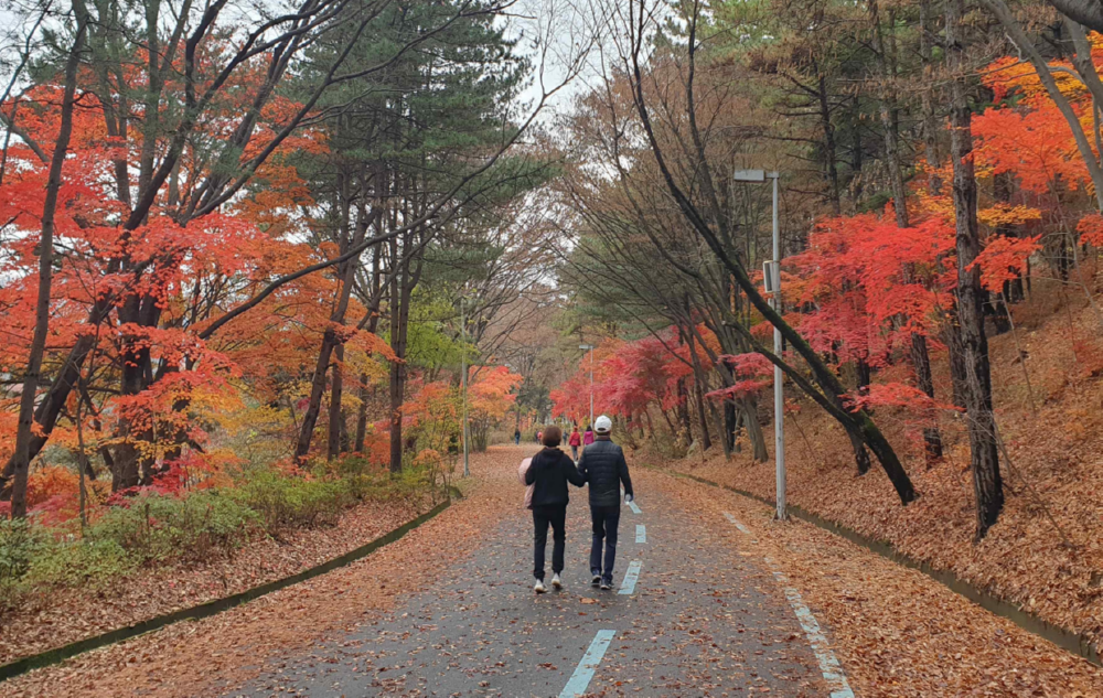 동물원 둘레길(사진=서울시)