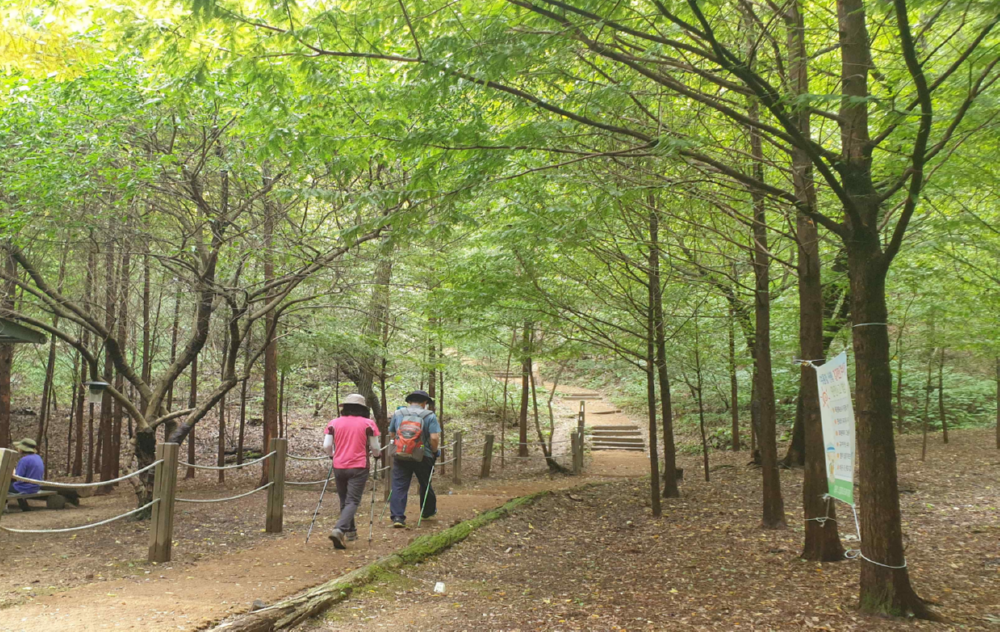 산림욕장 둘레길(사진=서울시)