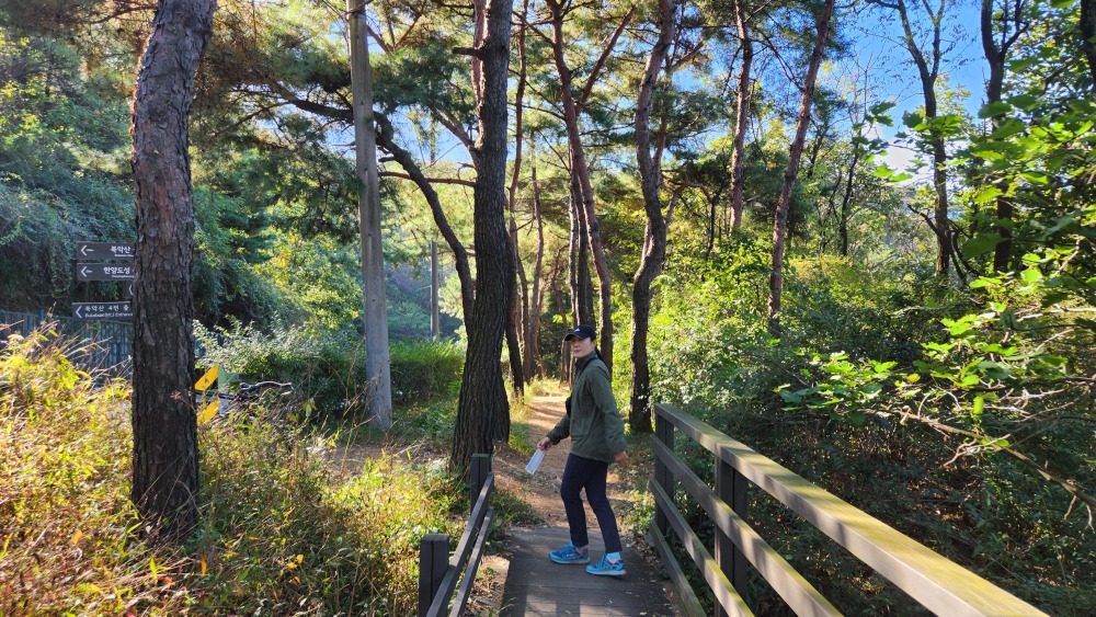 북악스카이웨이 산책로