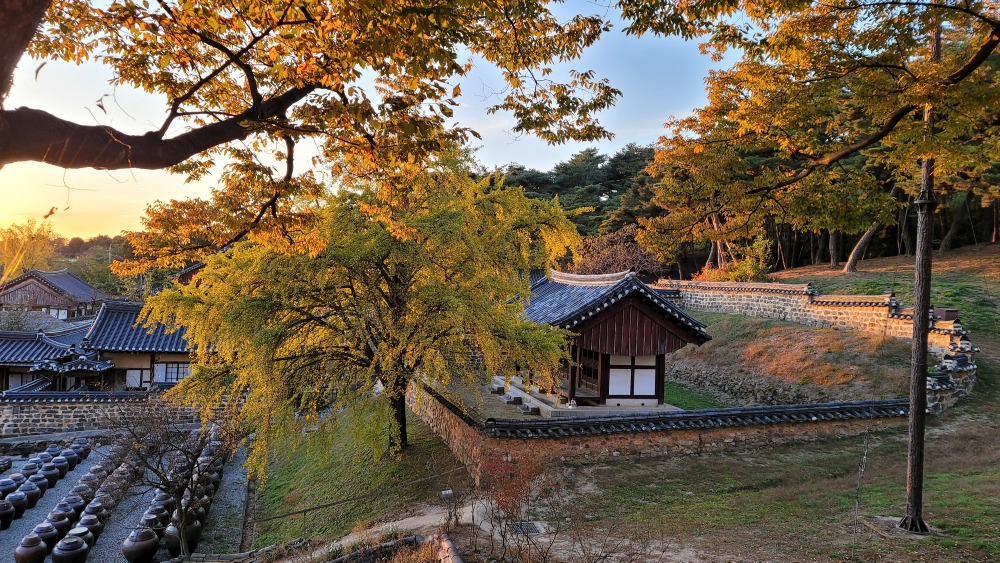 많은 장독대가 자리한 명재고택 (명재고택 제공)