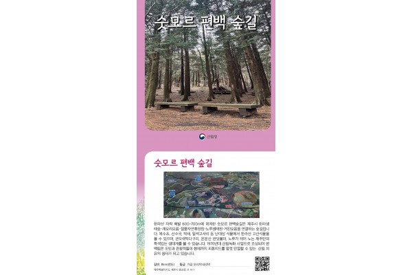 명품숲길 50선 중 하나인 숫모르 편백 숲길