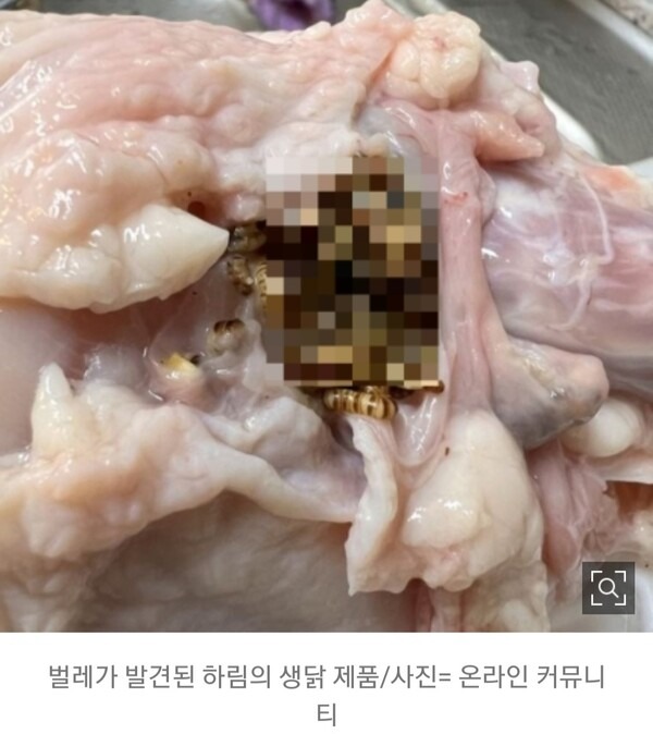 벌레가 발견된 하림의 생닭 제품