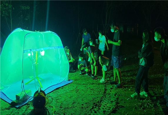 국립공원 야영장에서 즐길 수 있는 야간 곤충 탐사(국립공단 제공)