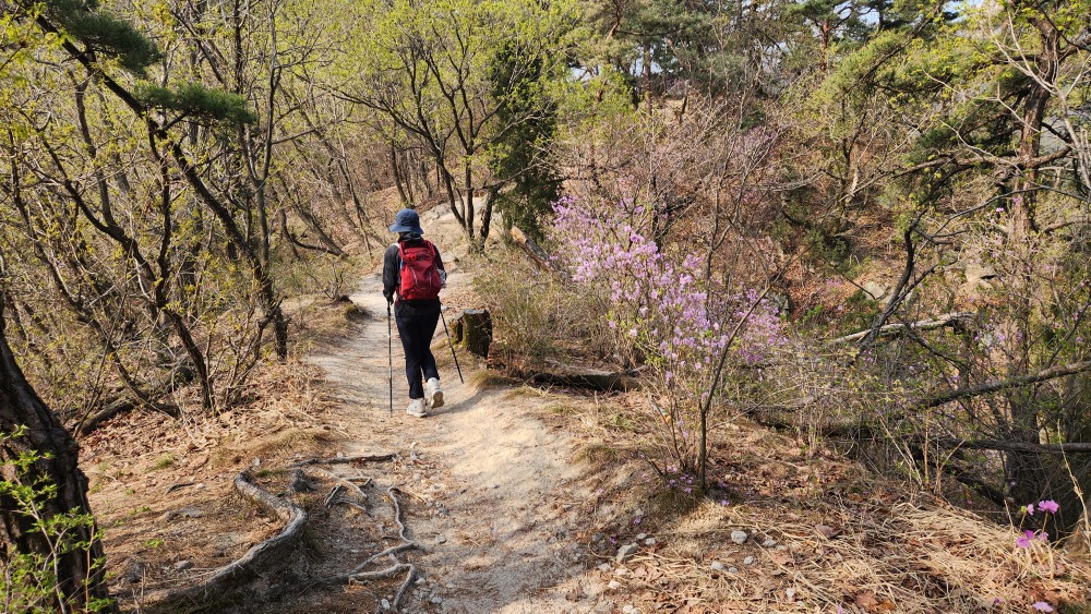 능선길은 뛰어다녀도 좋을 수준