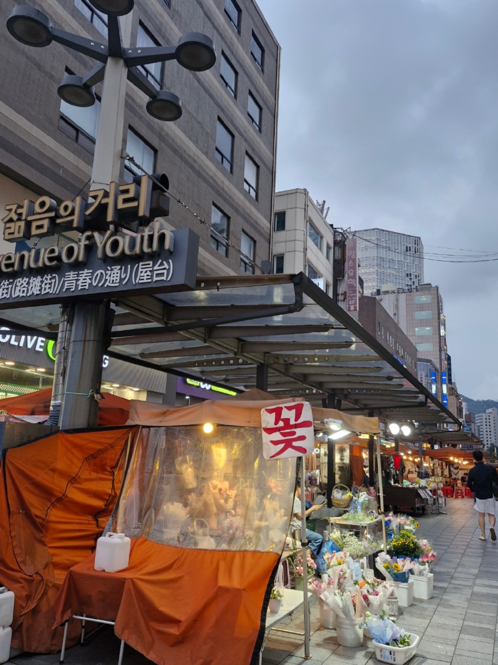 종각 젊음의 거리