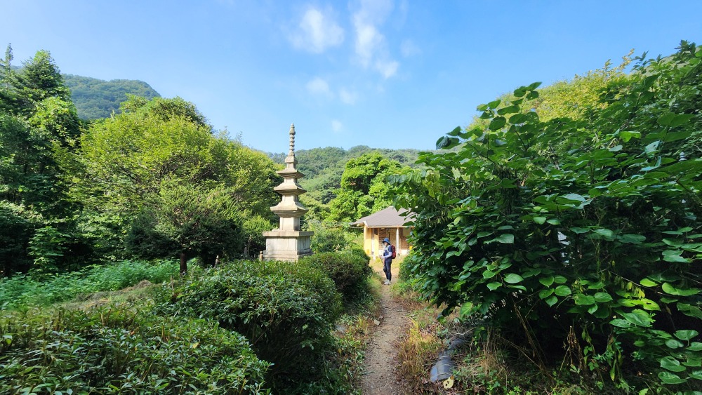 흥국사