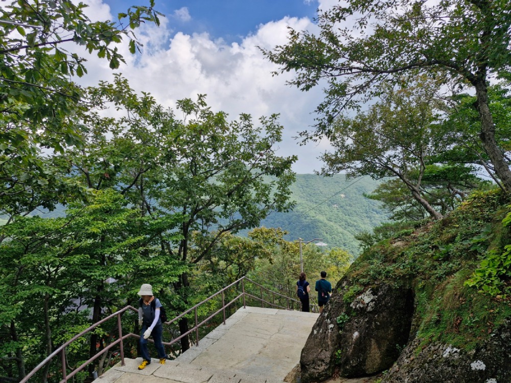 내려다본 풍경