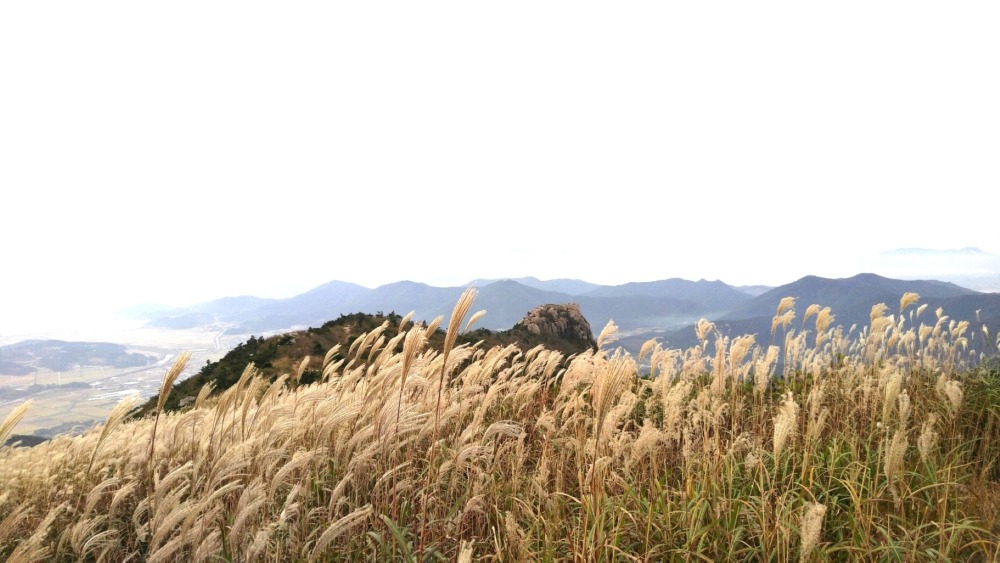 천관산자연휴양림(산림청 제공)