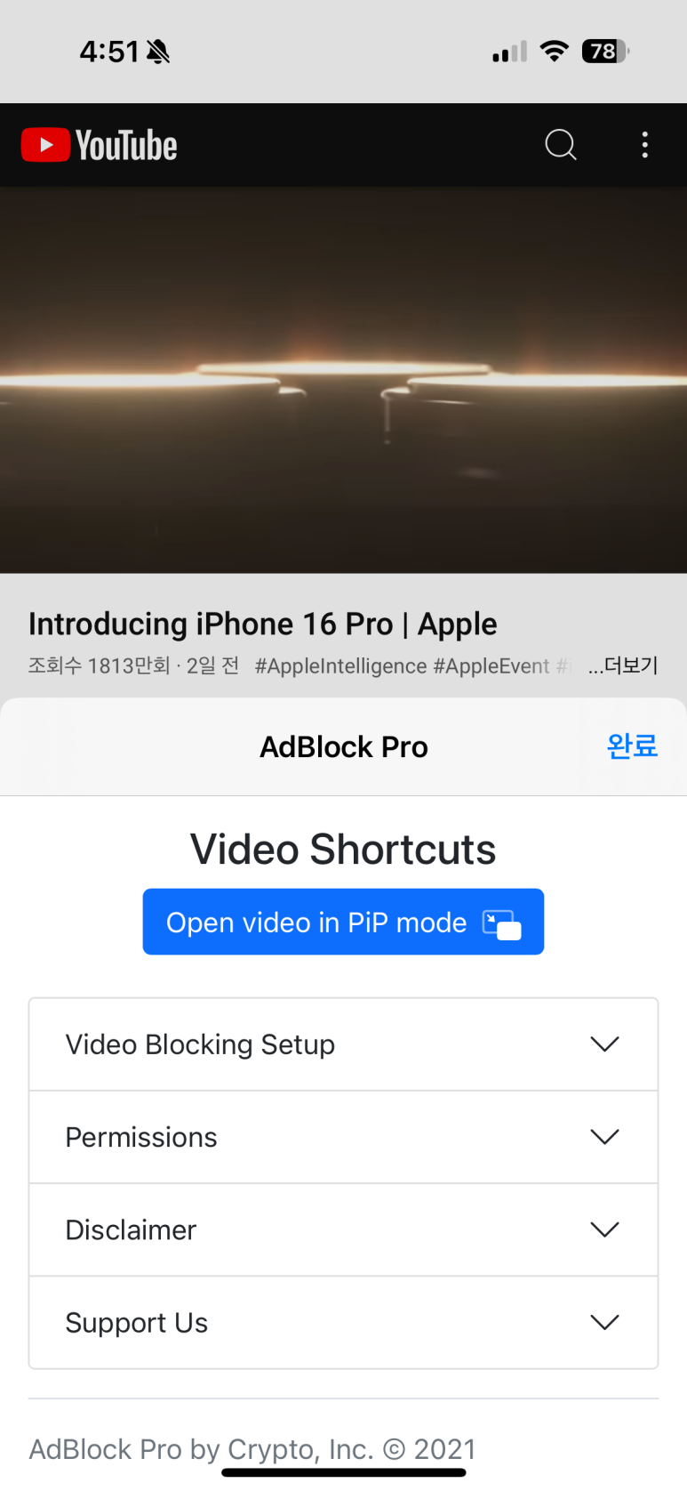 AdBlock Pro PIP기능