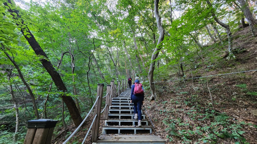 본격 등산 시작