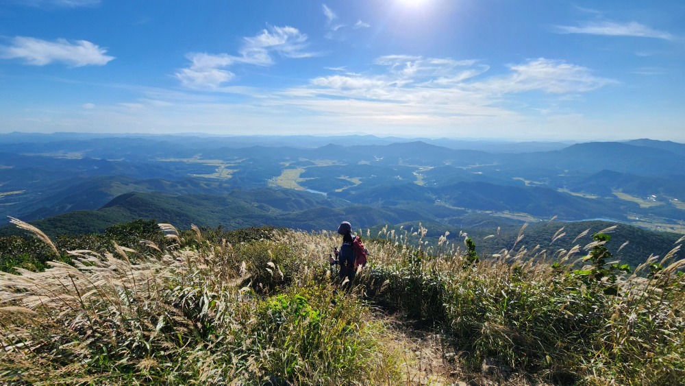 하산뷰