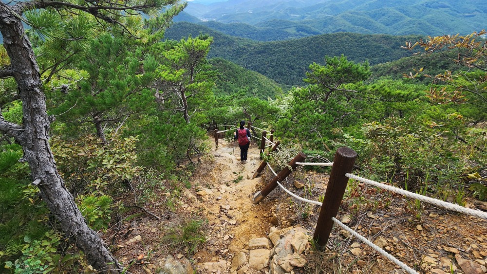 183고지 하산길