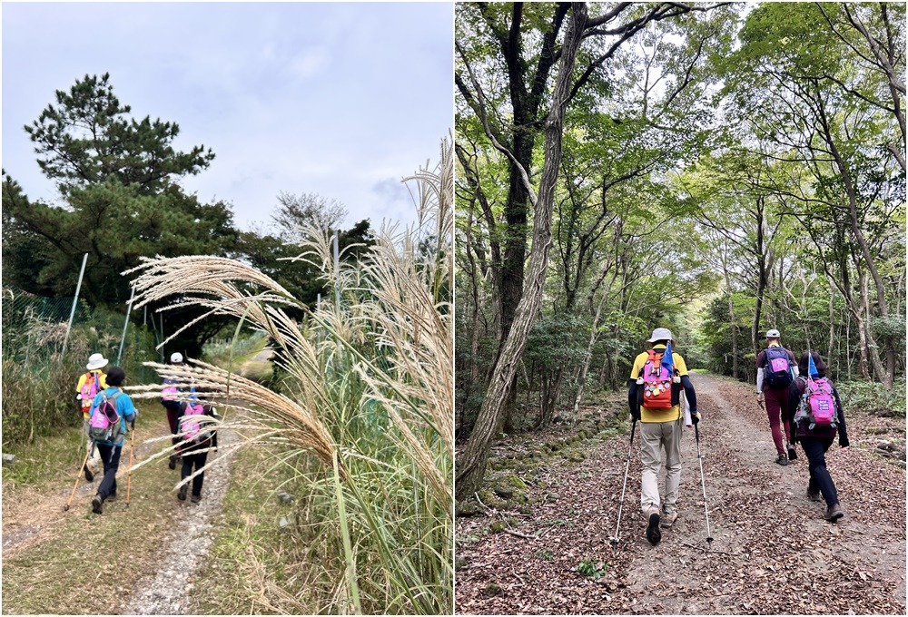 산중턱인데도 평지 같은 곳에 이르니 은빛으로 물들기 시작하는 억새가 있다.