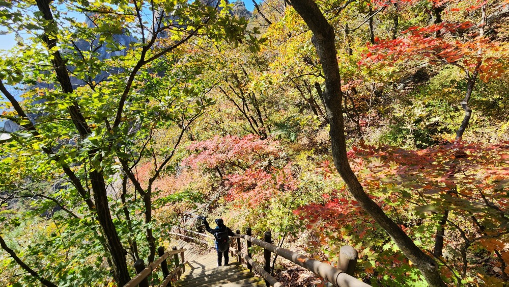 하산길 단풍