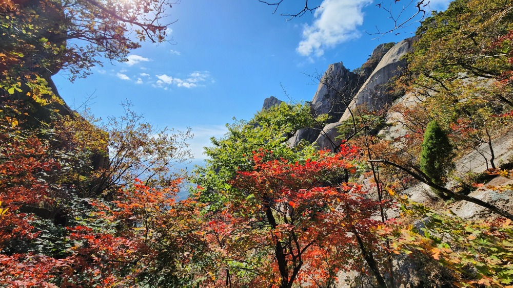 하산길 단풍