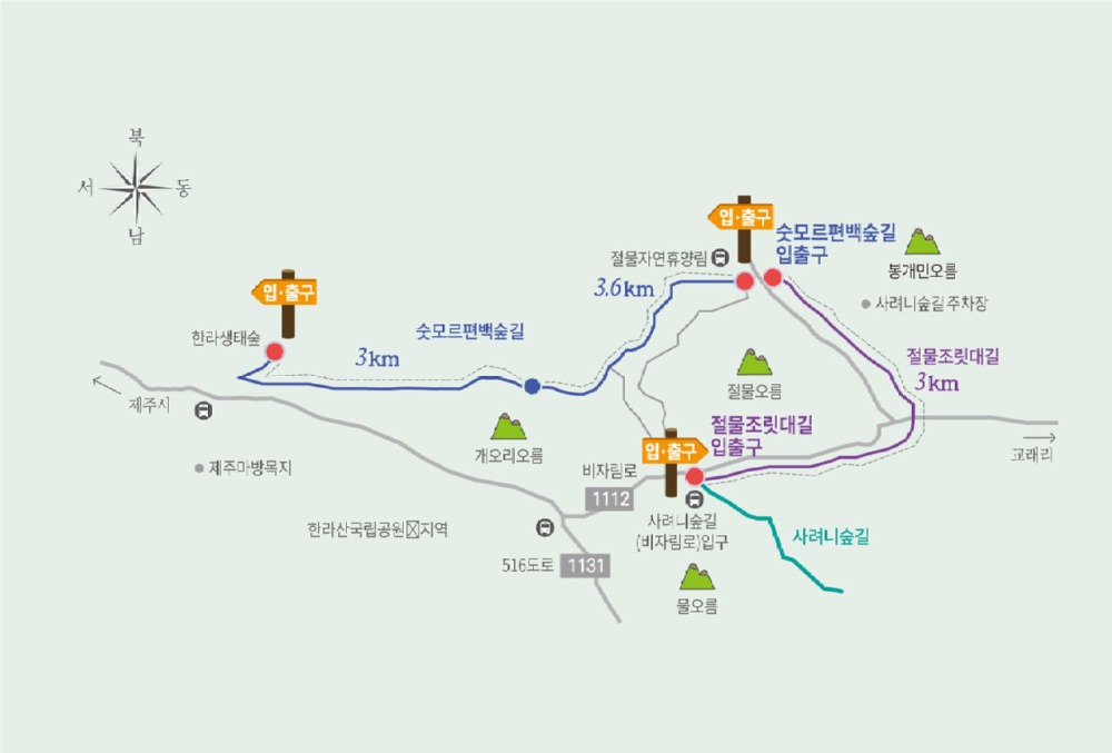 한라산둘레길 8구간 절물조릿대길 코스