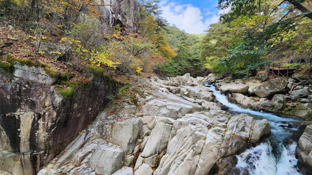 홍류동계곡