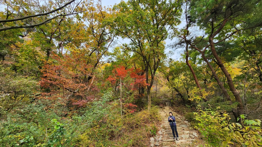 북한산 단풍