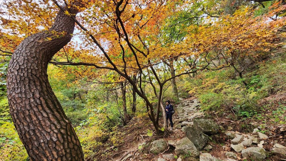 북한산 단풍