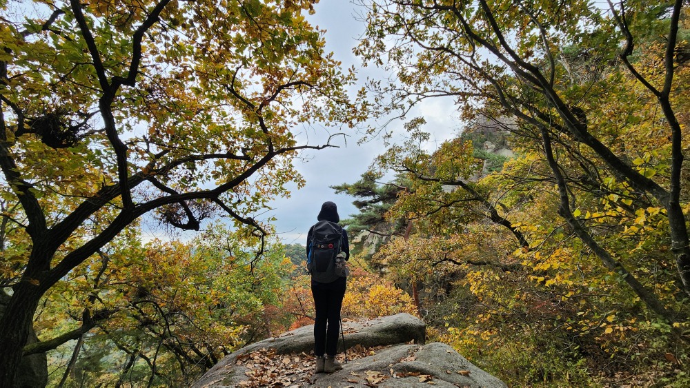 북한산 단풍