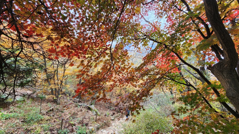 북한산 단풍