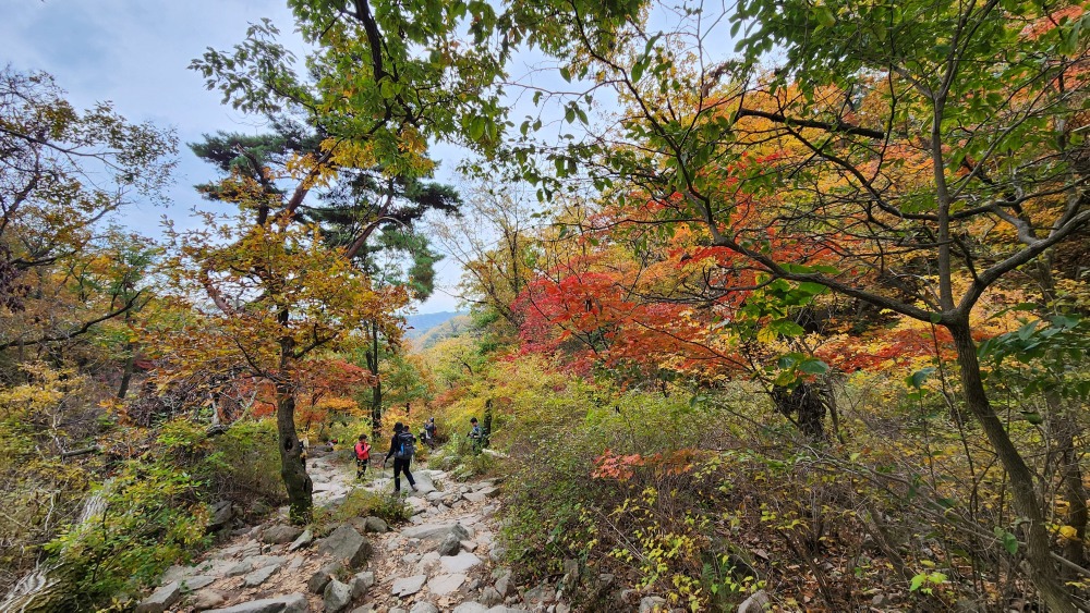 북한산 단풍