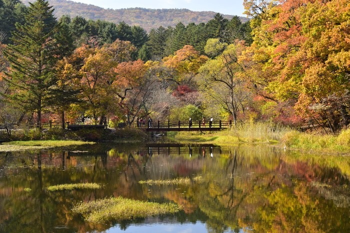 포천 국립수목원 육림호(국립수목원 제공)