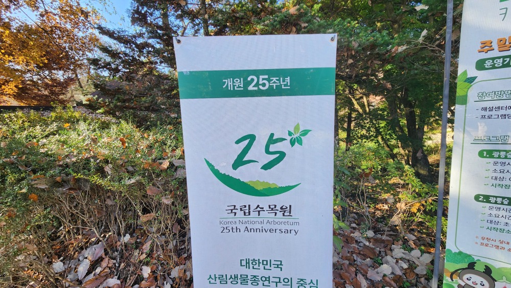 25주년