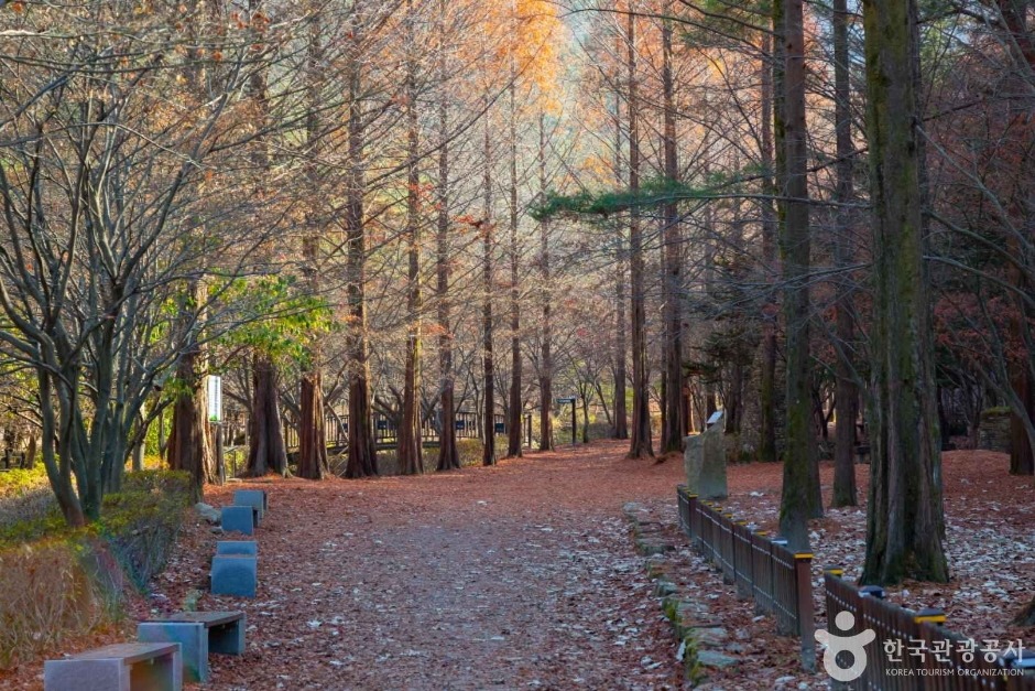 상소동 산림욕장. 사진=한국관광공사