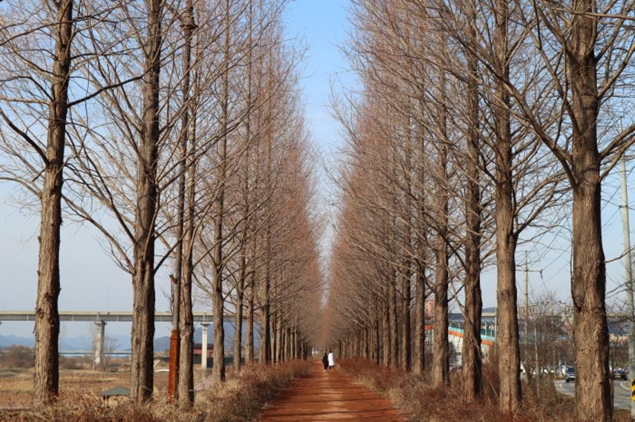 정안천 생태공원. 사진=공주시청