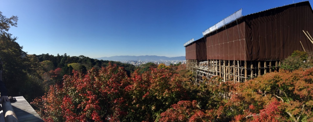 일본 대표 단풍 스팟, 교토 청수사 (우측이 본당과 테라스, 저멀리 교토 시내가 보인다)