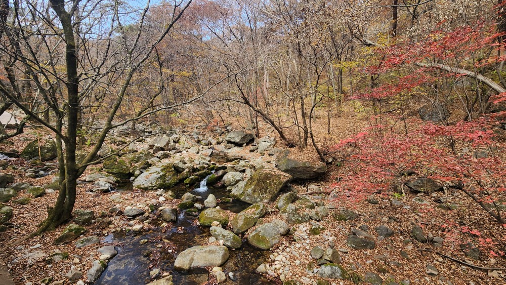 용문사 계곡