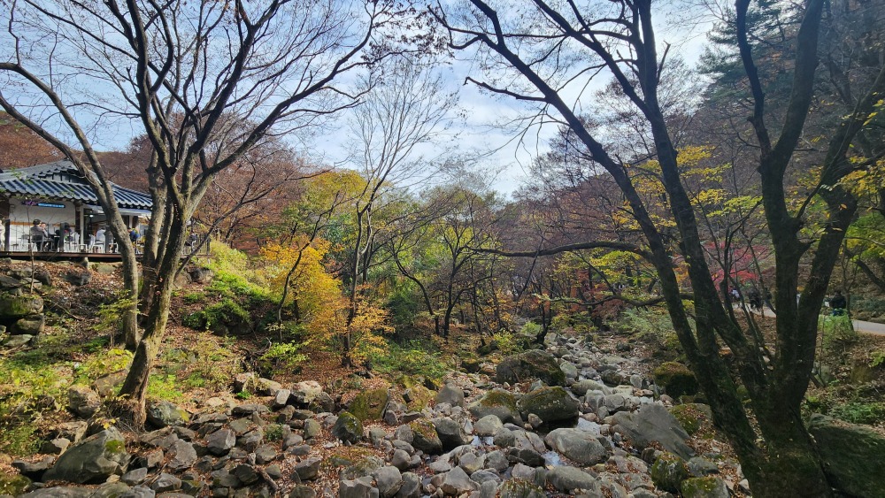 용문사 계곡