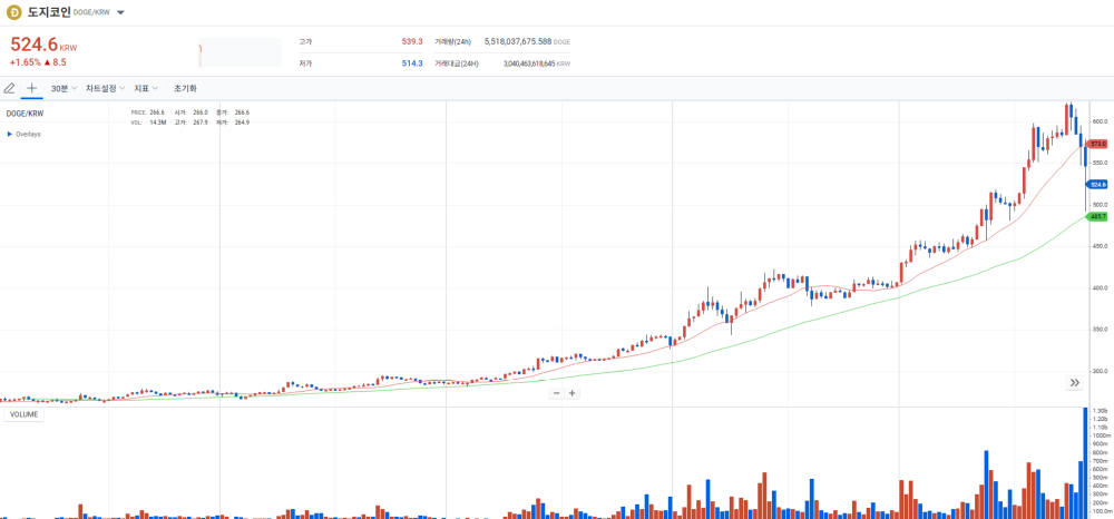 도지코인은 연일 폭등 추세다. 자료 : 업비트