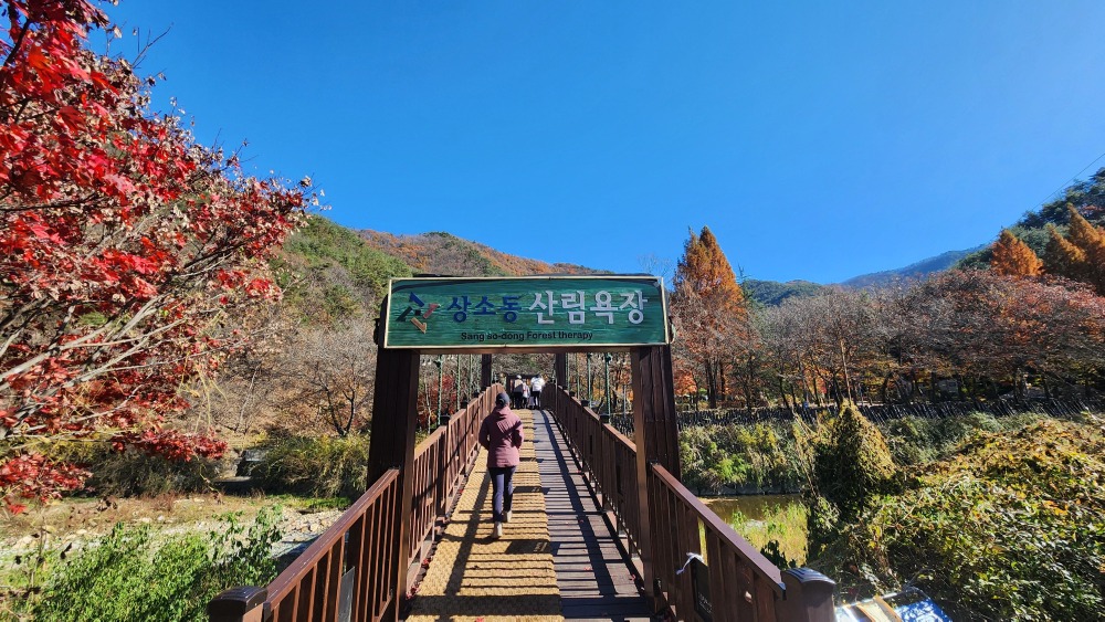 상소동 산림욕장